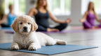 Puppy Yoga Gift Card