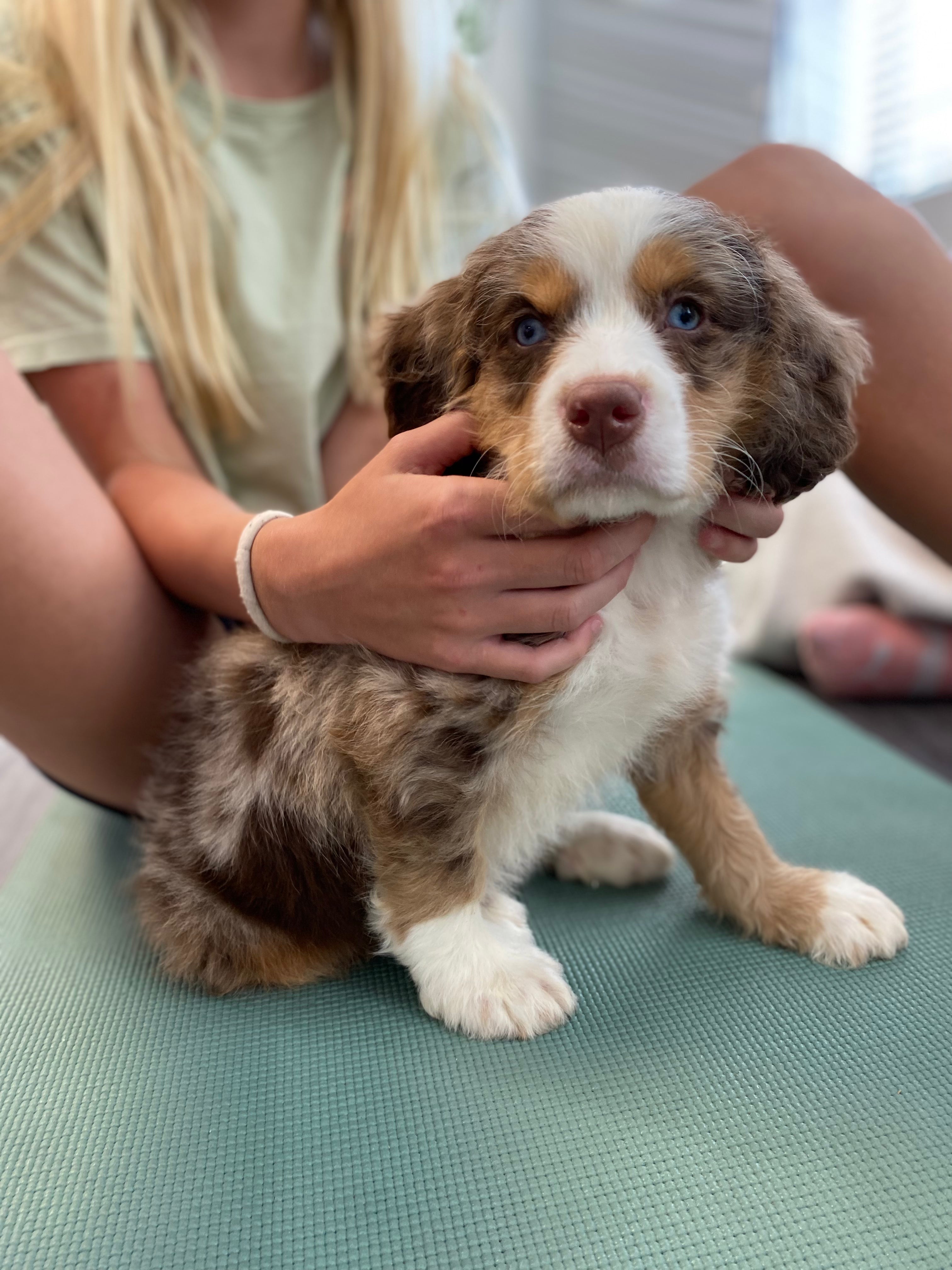 Yoga with Puppies